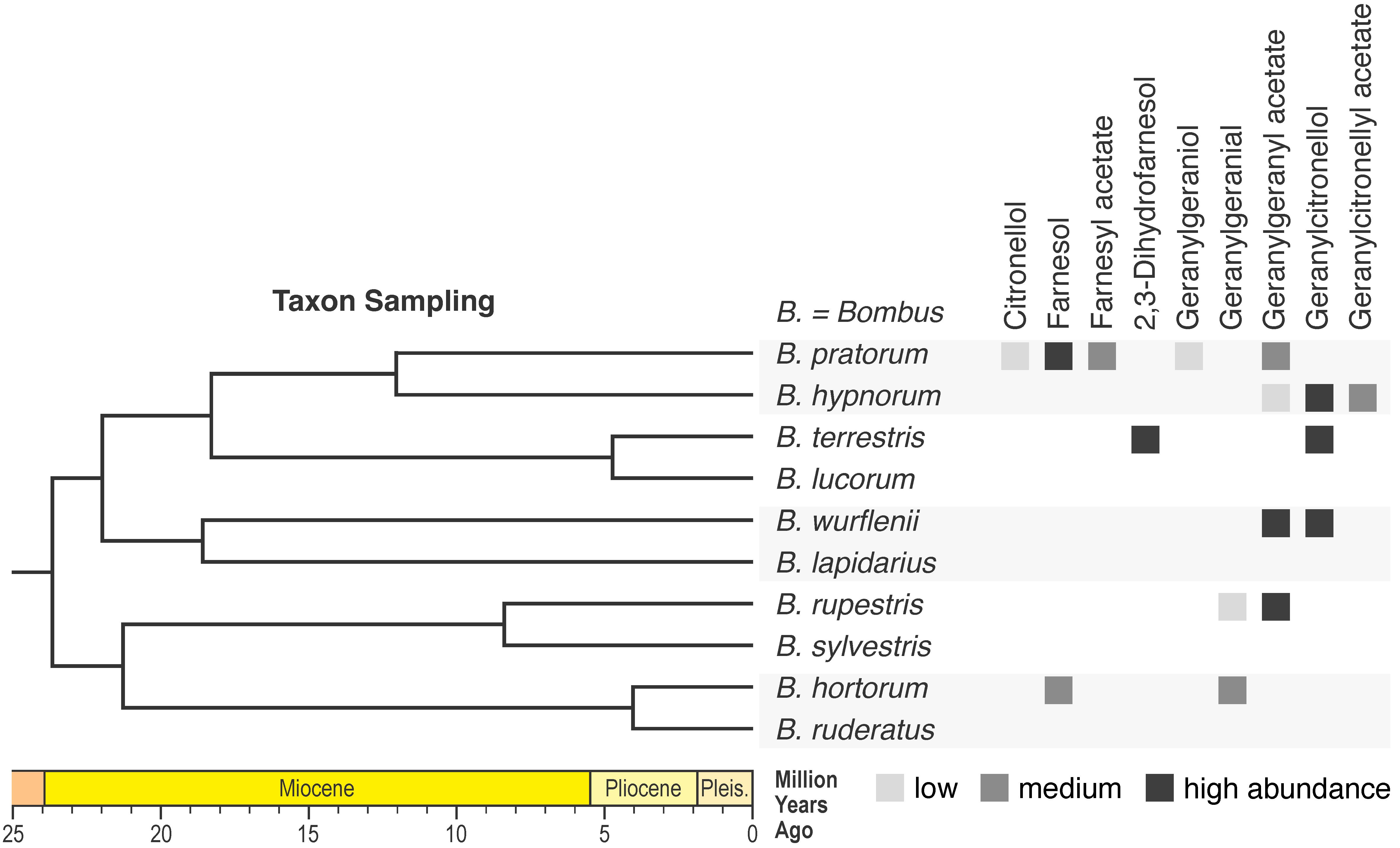 Phylogenetics