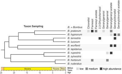 Phylogenetics