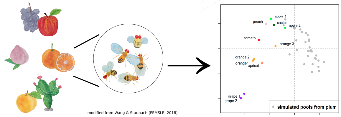 Fruitflies