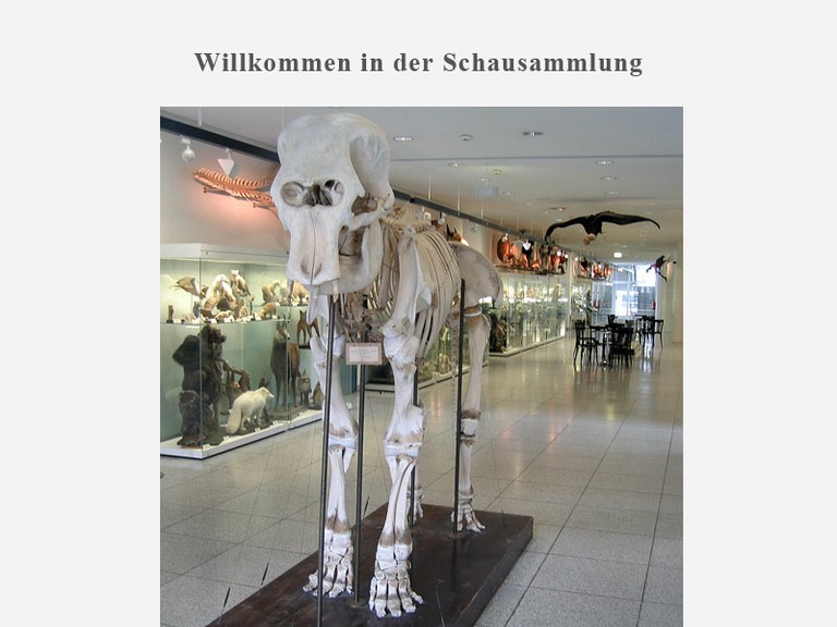 Willkommen in der Schausammlung - small