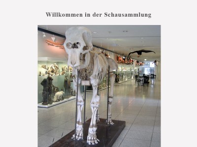 Willkommen in der Schausammlung
